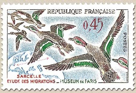 Oiseaux. Sarcelles. 45c. Multicolore Y1275