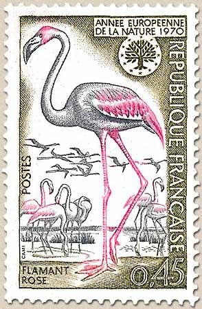 Année européenne de la nature. Flamant rose 45c. Olive, rose et gris Y1634