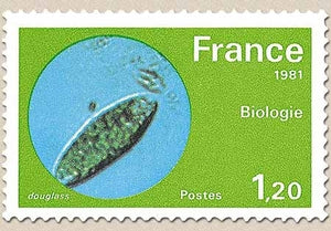 Série Grandes réalisations. Biologie (micro-organisme en évolution).  1f.20 vert-jaune, bleu-gris, vert et brun Y2127
