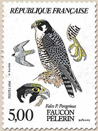 Faune et flore de France. Rapaces diurnes. Faucon pèlerin (Falco P. Peregrinus). 5f. Multicolore Y2340