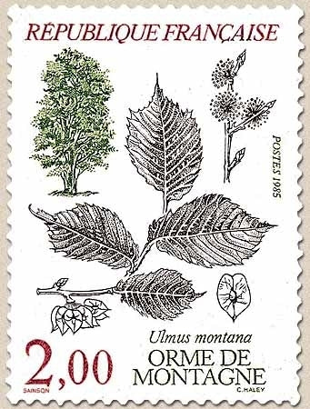 Flore et faune de France. Arbres Ulmus montana.  2f. Multicolore Y2385