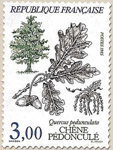 Flore et faune de France. Arbres Quercus pedunculata. 3f. Multicolore Y2386