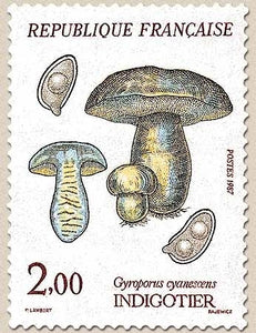 Flore et faune de France. Champignons. Indigotier (Gyroporus cyanescens) 2f. Bleu, jaune et brun Y2488