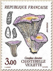 Flore et faune de France. Champignons. Chanterelle violette (Gomphus clavatus) 3f. Violet, jaune et bistre Y2489