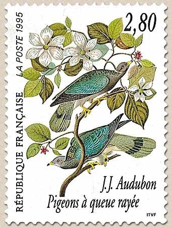 Série Arts décoratifs. Les oiseaux de J.-J. Audubon. Pigeons à queue rayée  2f.80 multicolore Y2930