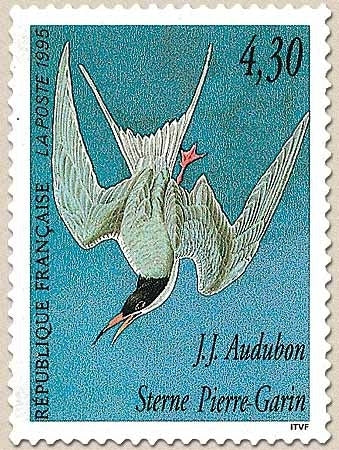 Série Arts décoratifs. Les oiseaux de J.-J. Audubon. Sterne Pierre-Garin  4f.30 multicolore Y2931