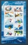 2004 France Bloc feuillet N°76 Les sports de glisse YB76