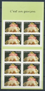 2005 France Carnet N°55 Timbres de naissances "C'est un garçon" YC55