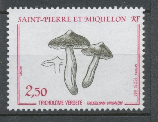 SPM  N°497 Flore Champignon Tricholome vergeté 2f50 lie-de-vin, sépia ZC497
