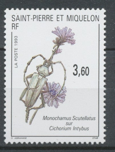 SPM  N°575 Faune, flore Insecte sur fleur 3f60 Monochamus scutellatus sur Cichorium intybus ZC575