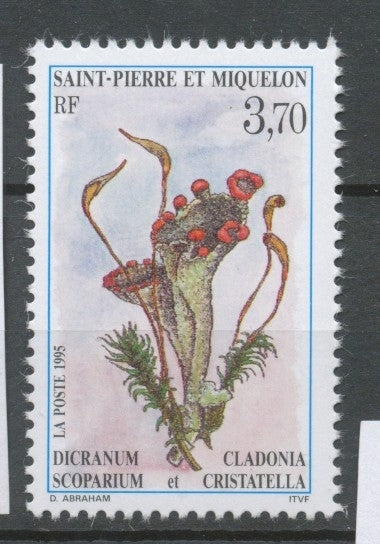 SPM  N°611 Flore 3f70 Dicranum scoparium, Cladonia cristatella ZC611