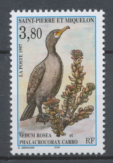 SPM  N°642 Nature Faune, flore 3f80 Sedum rosea, Phalacrocorax carbo ZC642