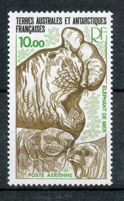 T.A.A.F Aérien 1978 N°55 faune. Eléphant de mer N** ZT167A