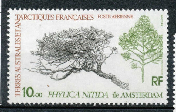 T.A.A.F Aérien 1979 N°60 Flore. Le Phylica nitida, arbre île Amsterdam N** ZT172A