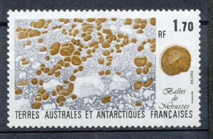 T.A.A.F 1991 N°156 Flore antarctique. Balles de mousses.  N** ZT89A